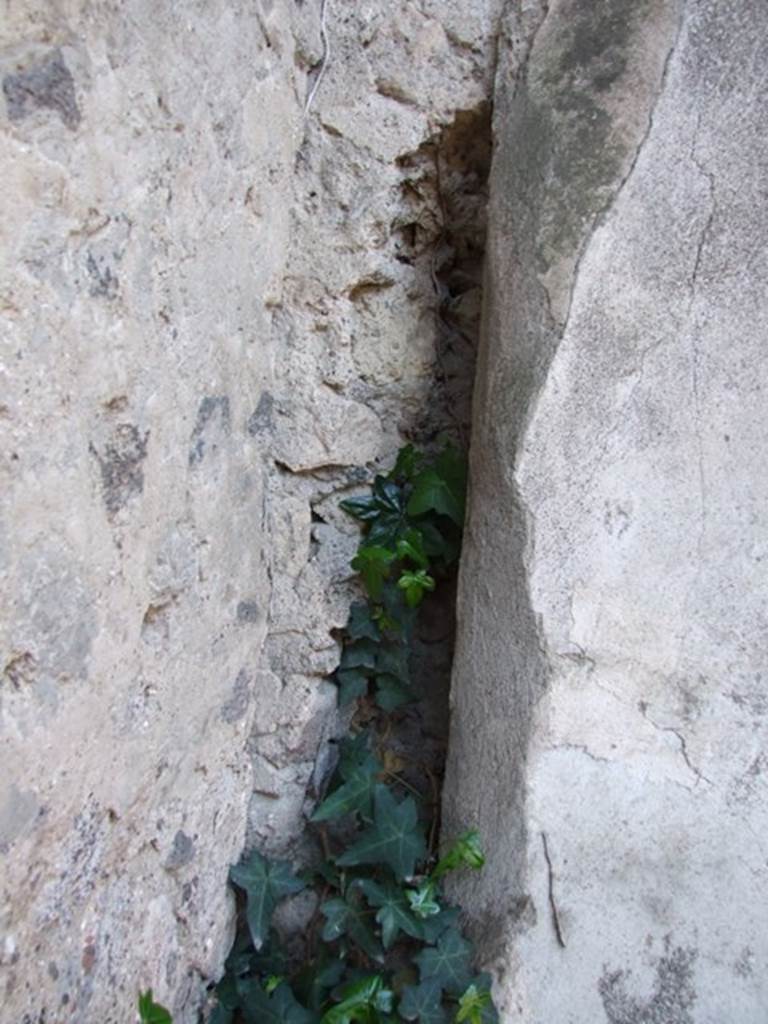 VIII.5.28 Pompeii. March 2009. Room 12, south-west corner.