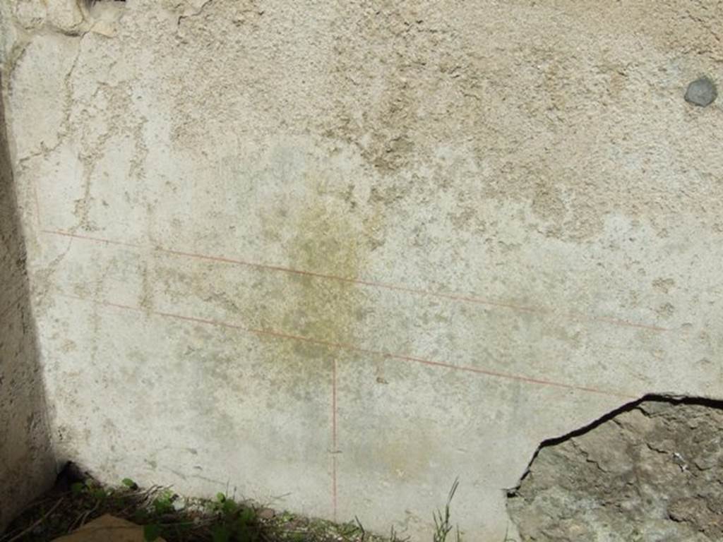 VIII.5.37 Pompeii.  March 2009.  Room 12. North wall.