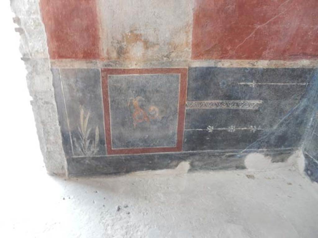 VIII.5.37 Pompeii. May 2017. Room 13, detail of black painted zoccolo after restoration, on east wall in south-east corner. Photo courtesy of Buzz Ferebee.
