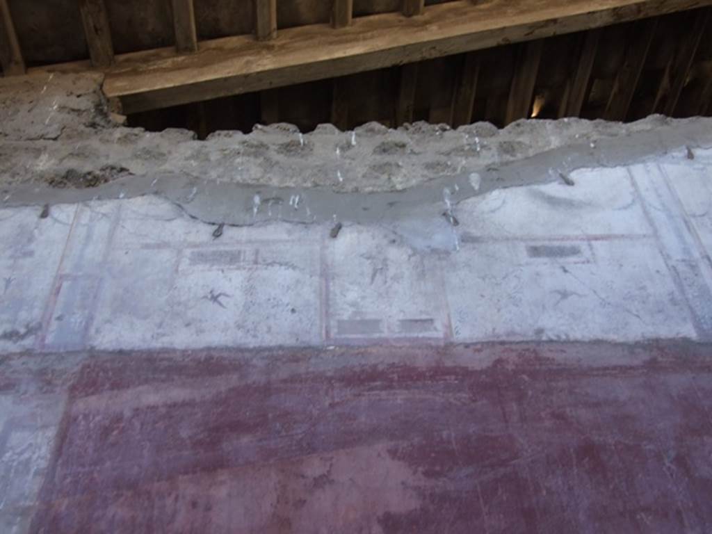 VIII.5.37 Pompeii. March 2009. Room 13. Oecus. Upper South wall. Middle section.