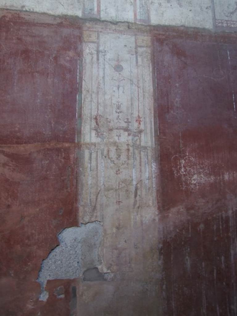 VIII.5.37 Pompeii. March 2009. Room 13, oecus. West end of south wall.