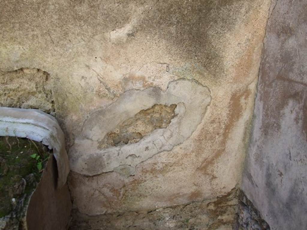 VIII.5.37 Pompeii. March 2009. Room 15, remains of plaster in south-west corner of kitchen.
