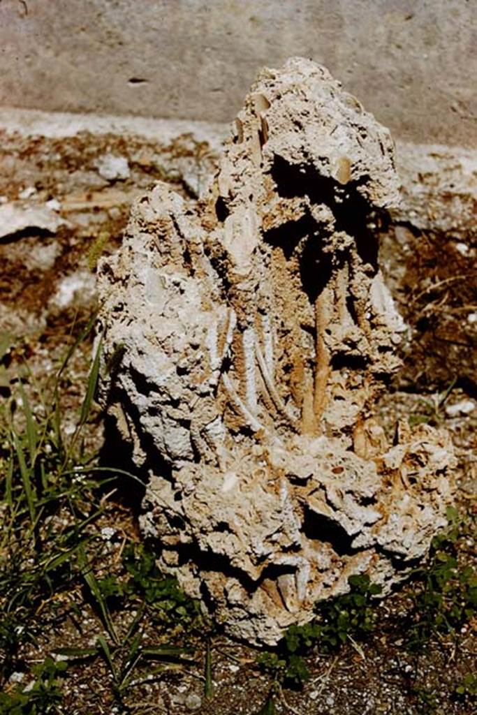 VIII.5.37 Pompeii. Found in house. Photo by Stanley A. Jashemski.
Source: The Wilhelmina and Stanley A. Jashemski archive in the University of Maryland Library, Special Collections (See collection page) and made available under the Creative Commons Attribution-Non Commercial License v.4. See Licence and use details. J59f0339