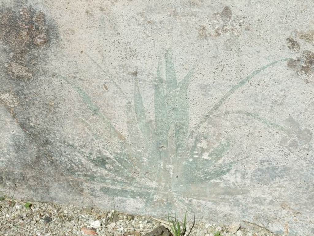 VIII.5.39 Pompeii. March 2009. Room 8, Painted plant decoration.