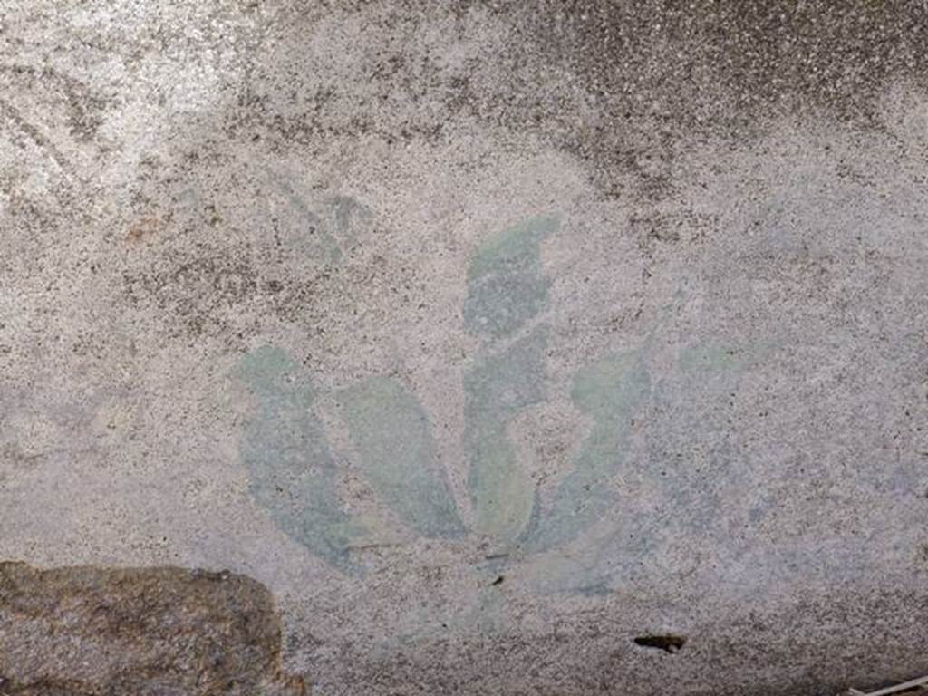 VIII.5.39 Pompeii. March 2009. Room 8, Painted plant decoration.