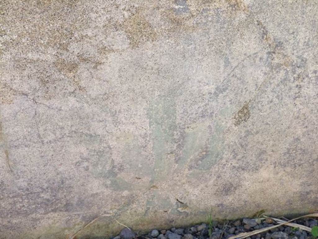 VIII.5.39 Pompeii. March 2009. Room 8, Painted plant decoration.