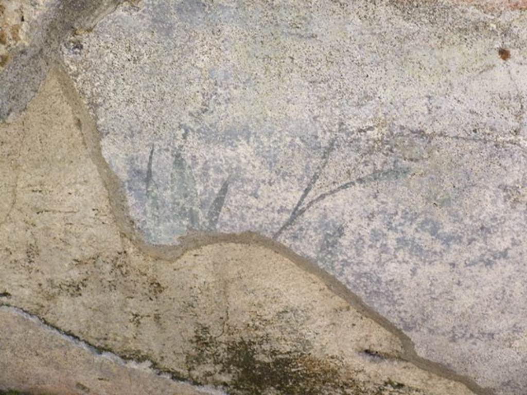 VIII.5.39 Pompeii. March 2009. Room 8, Painted plant decoration.