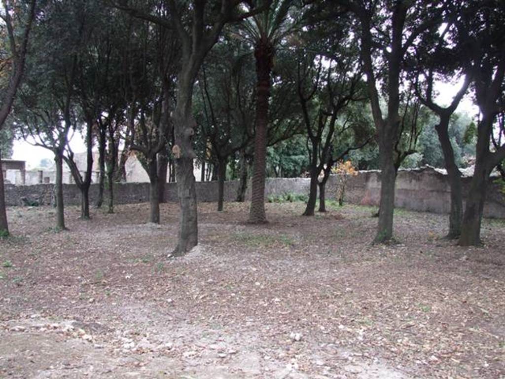 VIII.6.6 Pompeii. December 2007. Looking south-east.
According to Jashemski �
�The east part of the insula (excavated 1883-84) had apparently been converted into a market garden (a) after the earthquake.
Soil contours were partially preserved.�
See Jashemski, W. F., 1993. The Gardens of Pompeii, Volume II: Appendices. New York: Caratzas. (p.219).
