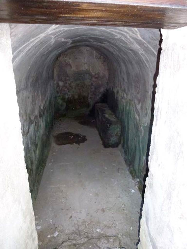 VIII.6.9 Pompeii. September 2011. Looking south into basement room/water tank under VIII.6.10.  
