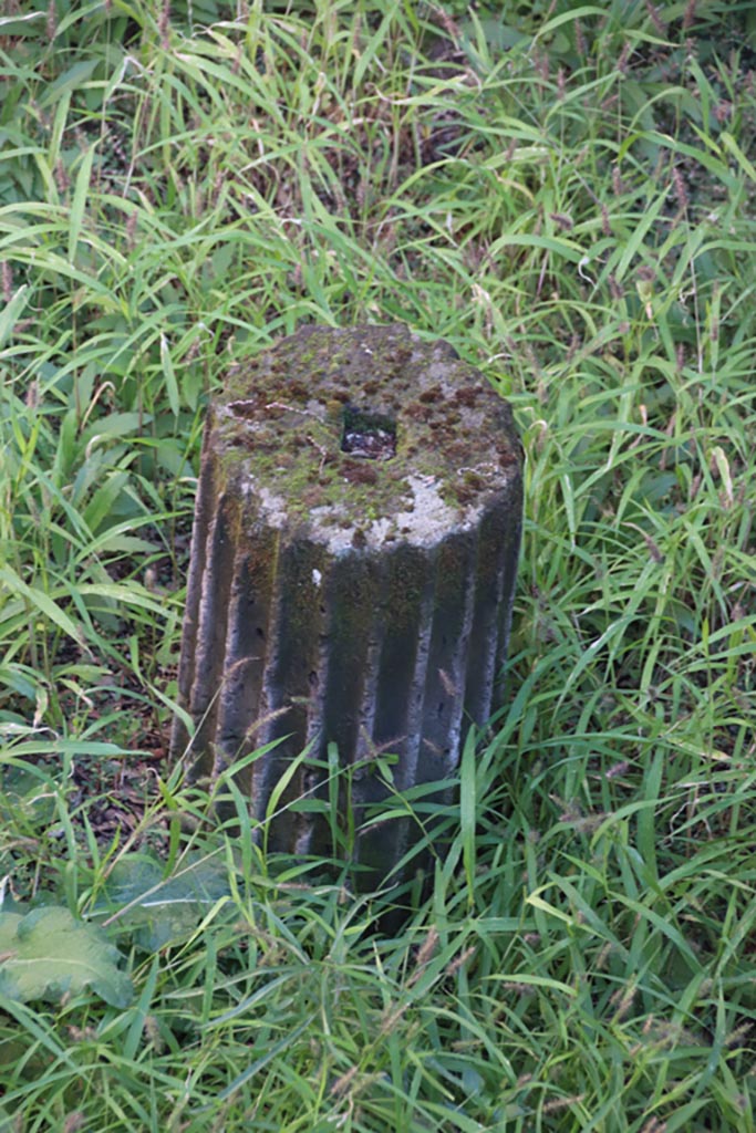 VIII.6.9 Pompeii. October 2022. Detail from below room “s”. Photo courtesy of Klaus Heese. 

