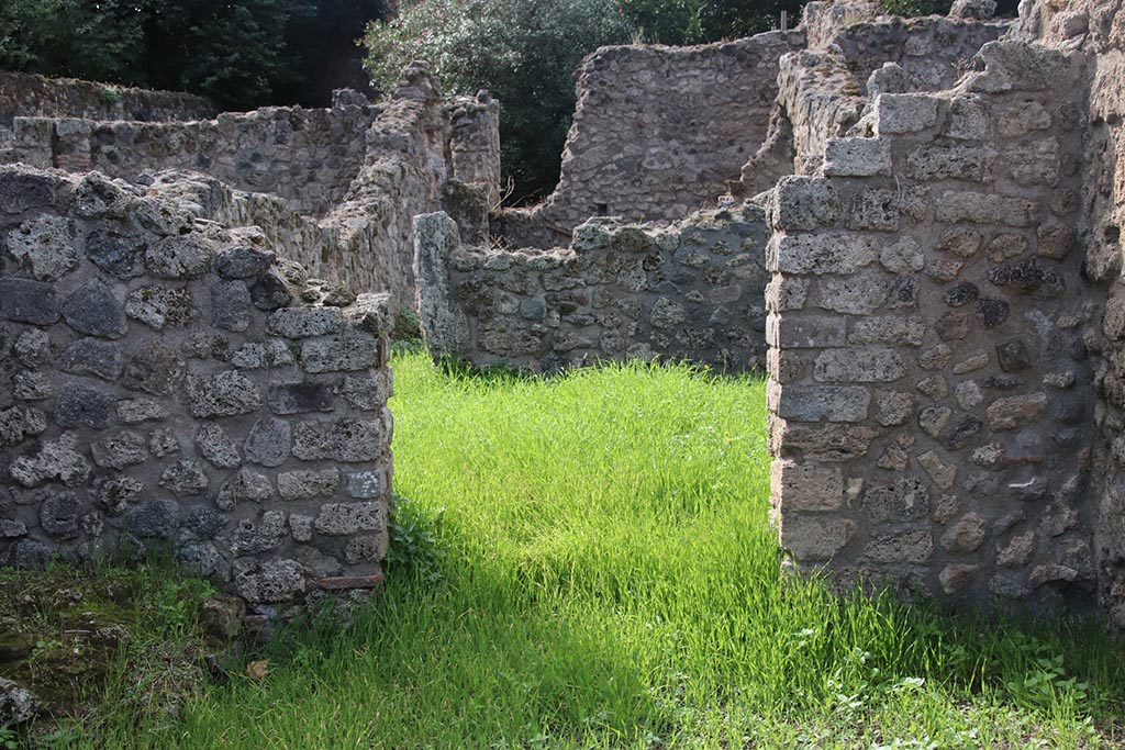 VIII.7.5 Pompeii. October 2024. Looking west across workshop towards rear room. Photo courtesy of Klaus Heese.