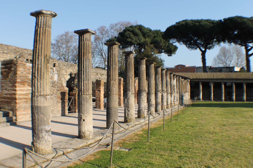 VIII.7.16 Pompeii. March 2014. Looking south along east side from north-east corner.
Foto Annette Haug, ERC Grant 681269 DÉCOR.

