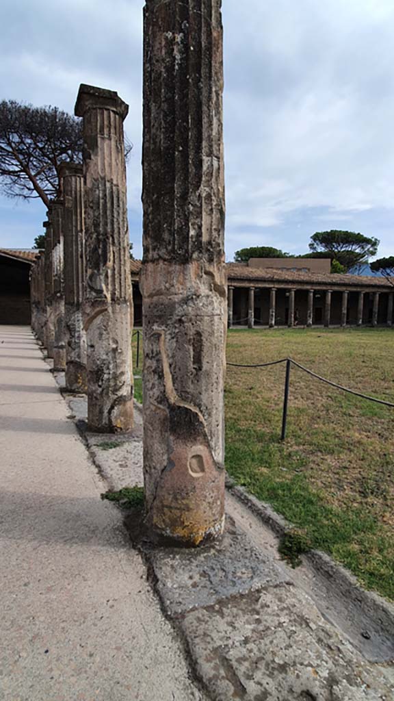 VIII.7.16 Pompeii. August 2021. Looking south at columns on east side. 
Foto Annette Haug, ERC Grant 681269 DÉCOR.

