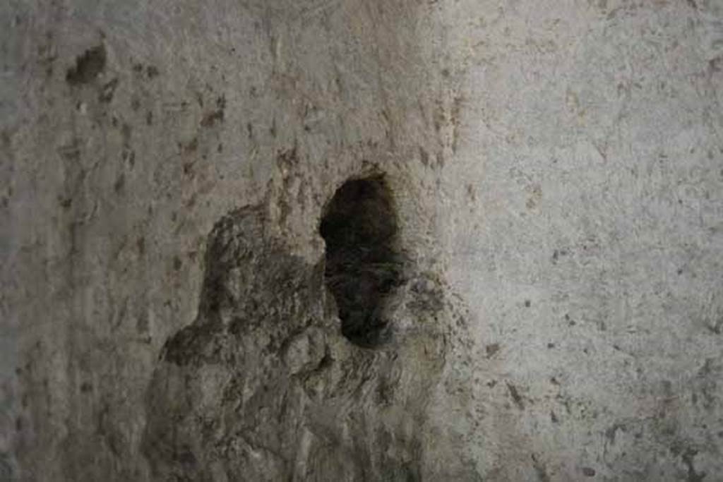 VIII.7.22/23/24 Pompeii. October 2010. North-east corner of room D, with niche on north wall. Photo and information courtesy of Drew Baker/Gareth Beale/Hembo Pagi.
