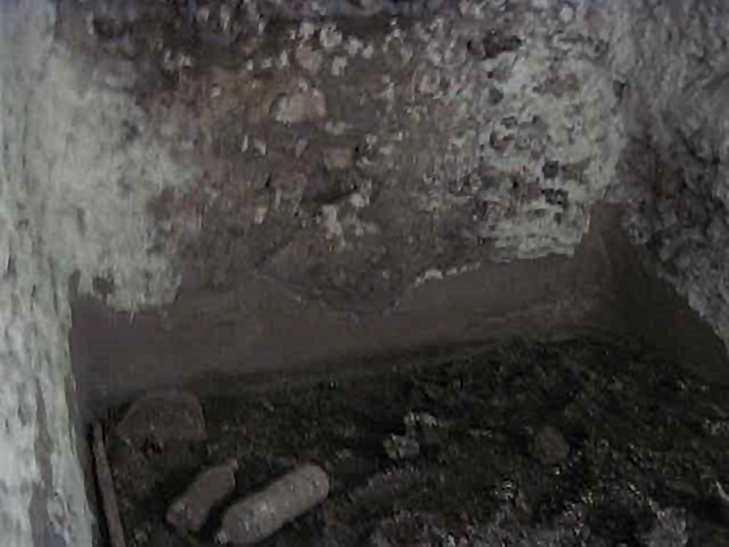 VIII.7.22/23/24 Pompeii. October 2010. East end of room F, lower wall. 
Photo and information courtesy of Drew Baker/Gareth Beale/Hembo Pagi.
