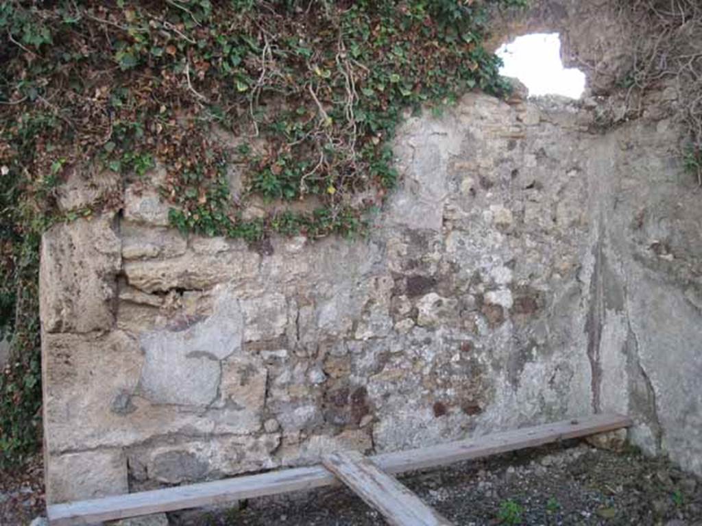 VIII.7.24 Pompeii. September 2010. South wall of tablinum. Photo courtesy of Drew Baker.