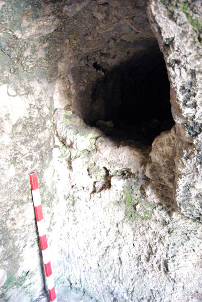 VIII.7.24 Pompeii. June 2009. South-west corner of “storage room”. Photo courtesy of Sera Baker.