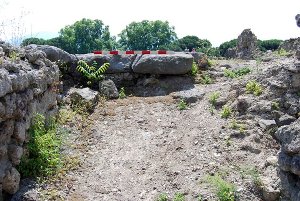 VIII.7.24 Pompeii. June 2009. Looking south towards threshold at top of stairs. Photo courtesy of Sera Baker.