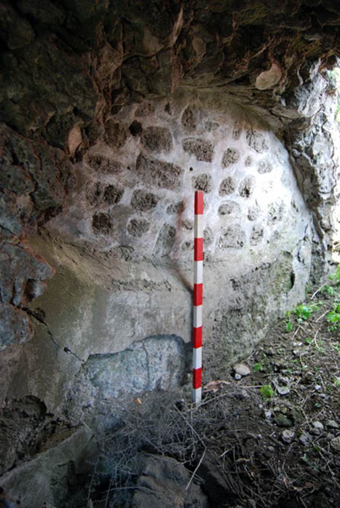 VIII.7.22 Pompeii. June 2009. West wall of the corridor A. Photo courtesy of Sera Baker.