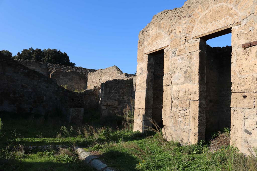 VIII.7.24, Pompeii. December 2018. Looking towards north side of atrium. Photo courtesy of Aude Durand.
