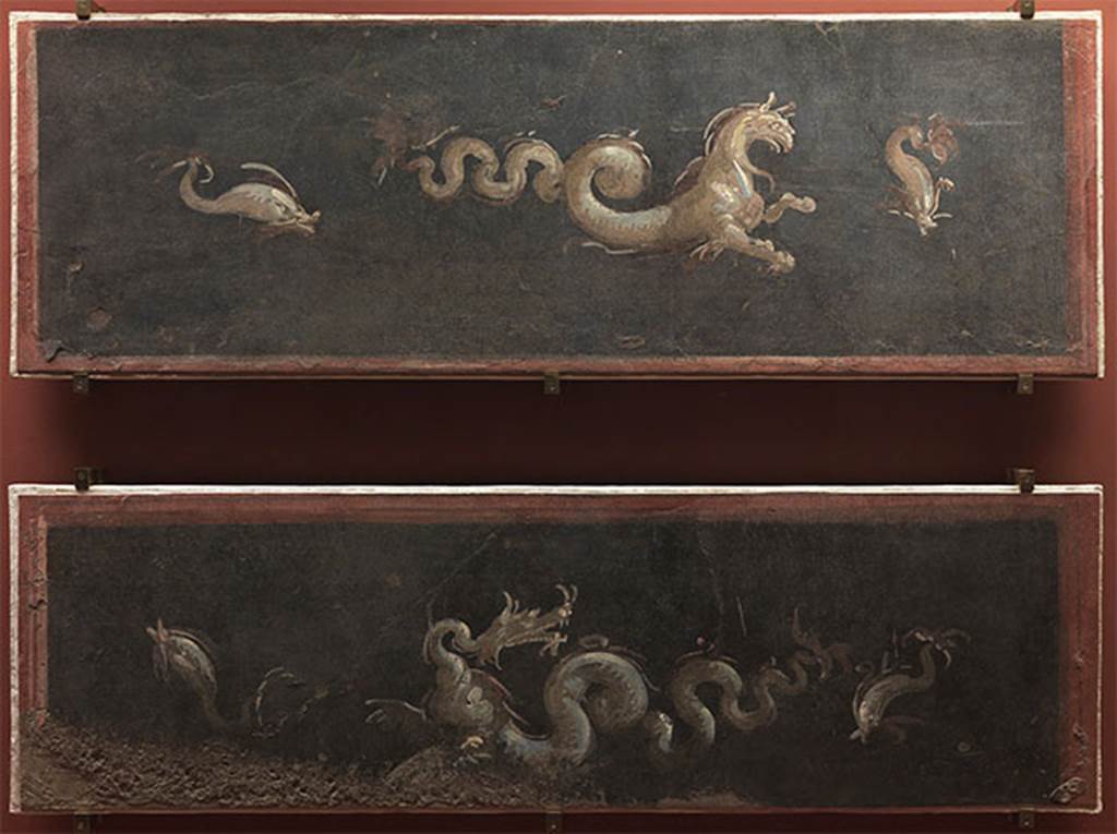 VIII.7.28 Pompeii. Two frescoes from the zoccolo of the walls of the Ekklesiasterion.
A pair of frescoes from the Temple of Isis in Pompeii, originally located on the lower walls of the goddess's devotees meeting room. 
Both with maritime themes, they present central figures-respectively horse and Sea Dragon with snake body-flanked by two dolphins.
Now in the Museu Nacional/UFRJ Brazil. 
Following the disastrous fire at the Museum on 3rd September 2018 these may have been destroyed.
Par de afrescos provenientes do Templo de Isis, em Pompeia, localizados originalmente nas paredes inferiores da sala de reuni�o dos devotos da deusa. 
Ambos com temas mar�timos , apresentam figuras centrais - respectivamente cavalo e drag�o marinhos com corpo de serpente - ladeadas por dois golfinhos.
See http://www.museunacional.ufrj.br/dir/exposicoes/arqueologia/culturas-mediterraneo/arqcmed016.html
