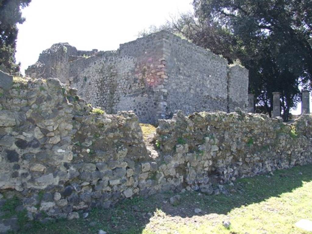 VIII.7.29 Pompeii. March 2009.  Rear, south wall. 