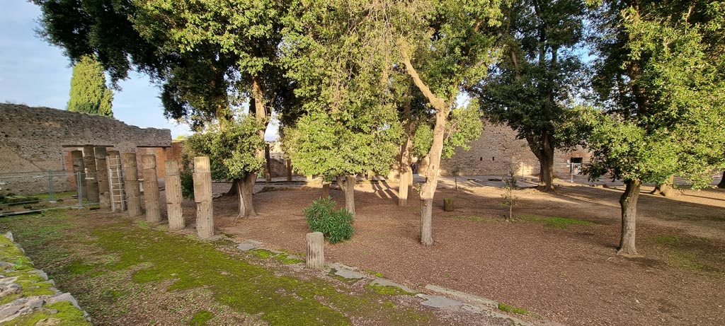VIII.7.30 Pompeii. December 2023. Looking north along west side. Photo courtesy of Miriam Colomer.