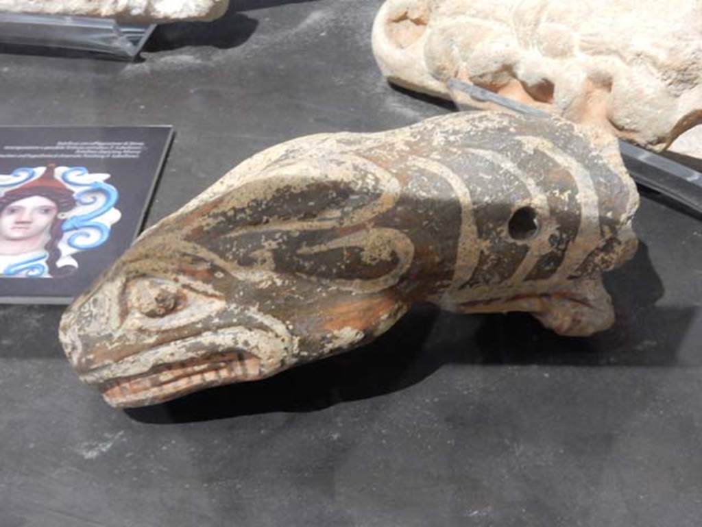 VIII.7.31 Pompeii, May 2018. Snake head from roof, side view.
Photo courtesy of Buzz Ferebee.

