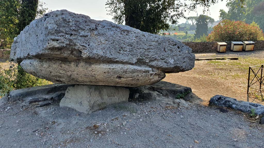 VIII.7.31 Pompeii. July 2021. Looking towards the north-east corner of the Doric Temple.
Foto Annette Haug, ERC Grant 681269 DÉCOR.

