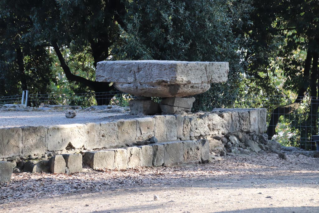 VIII.7.31 Pompeii. October 2023. South-west corner of Doric Temple. Photo courtesy of Klaus Heese.
