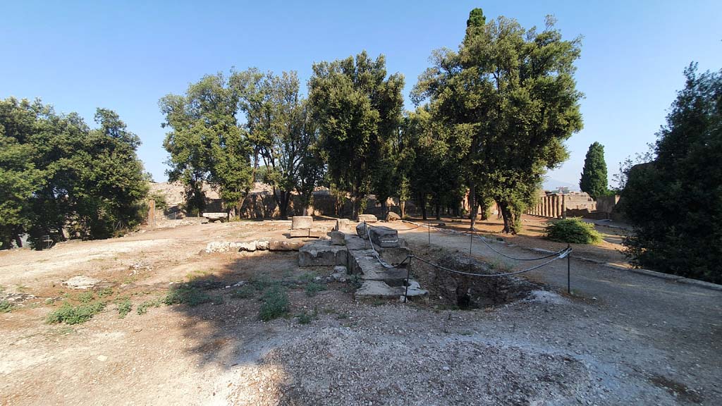 VIII.7.31 Pompeii. July 2021. Looking north-west across Doric Temple. Cella. Outer (front) chamber.
Foto Annette Haug, ERC Grant 681269 DÉCOR.

