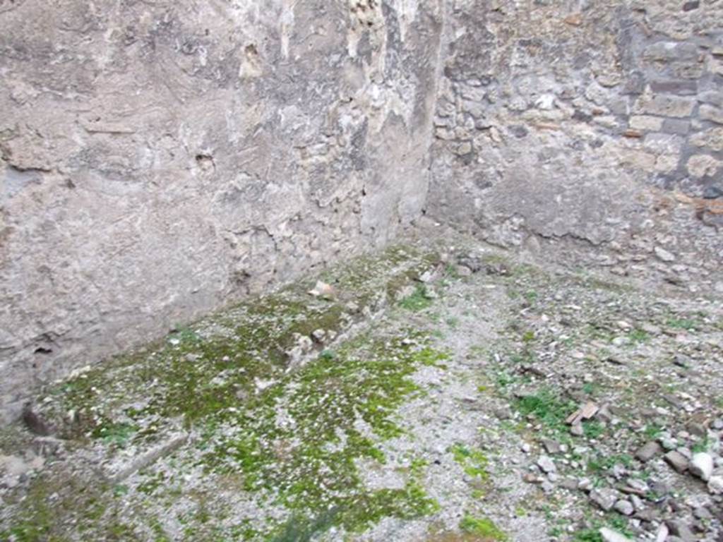 IX.1.7 Pompeii. December 2007. Garden area.