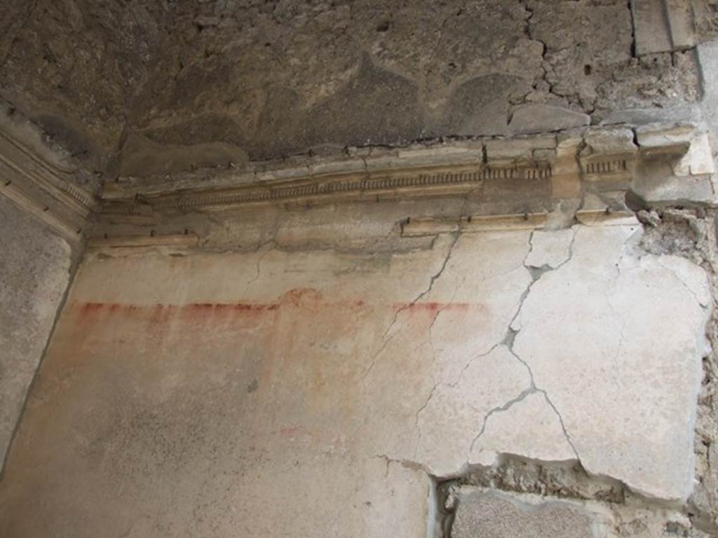IX.1.20 Pompeii. December 2007. Room 6, stucco cornice on south wall of ala, and remains of painted decoration.  