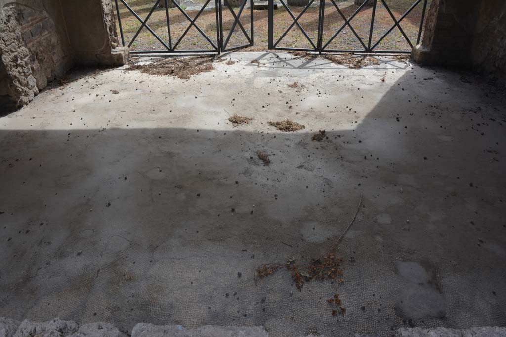 IX.1.20 Pompeii. September 2019. Room 10, looking south across flooring in tablinum.  
Foto Annette Haug, ERC Grant 681269 DÉCOR

