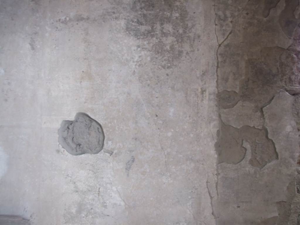 IX.1.20 Pompeii.  December 2007.  Room 19.