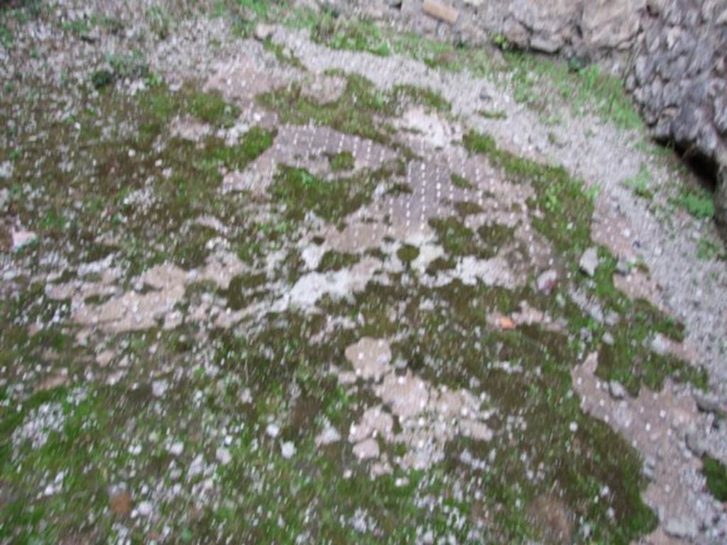 IX.1.22 Pompeii. December 2007. Room 20, decorated floor of cubiculum.