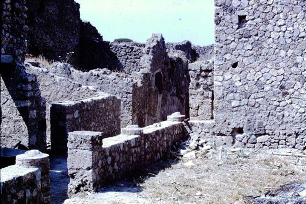 IX.2.10 Pompeii. 1966. Looking south-west from peristyle area, towards entrance corridor.
Photo by Stanley A. Jashemski.
Source: The Wilhelmina and Stanley A. Jashemski archive in the University of Maryland Library, Special Collections (See collection page) and made available under the Creative Commons Attribution-Non Commercial License v.4. See Licence and use details.
J66f0468
On the north side of the corridor, centre right in photo, would be the doorway to a triclinium, not photographed. According to Sogliano, the paintings found in this room, the triclinium on west side of peristyle, would be -  
Psyche with plate in left hand. (no. 388 but nearly vanished). Psyche with cornucopia or similar, (no.389.), p.67.
Female figure, on a yellow background, with dark red mantle, in her right hand a plate and her left hand holding up a garland? (no.834), p.160.
See Sogliano, A., 1879. Le pitture murali campane scoverte negli anni 1867-79. Napoli: Giannini. (p.67 and 160)
According to Helbig, Apollo (H216), Endymion (H959), and Narcissus (H1360) were found here.
See Helbig, W., 1868. Wandgemälde der vom Vesuv verschütteten Städte Campaniens. Leipzig: Breitkopf und Härtel.
