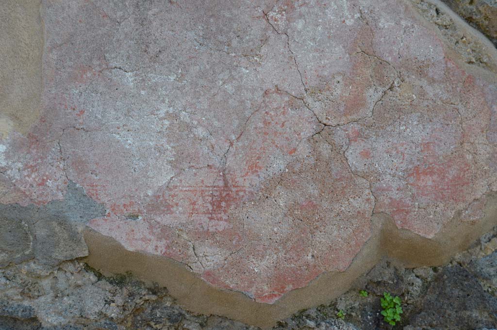 IX.2.26 Pompeii. March 2019. Detail of painted decoration from lower west side of entrance doorway.
Foto Taylor Lauritsen, ERC Grant 681269 DÉCOR.

