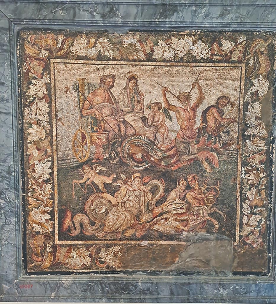IX.2.27 Pompeii. Mosaic of Neptune and Amphitrite in a chariot, this was found in a triclinium on east side of peristyle.  
Now in Naples Archaeological Museum, inventory number 10007.
According to information card –
Poseidon and Amphitrite on wedding chariots.
Mosaic emblema in opus vermiculatum made from polychrome tesserae.
The scene is a depiction of the wedding of Poseidon/Neptune and Amphitrite.
In the upper register, the carriage with the bride and bridegroom is pulled by a Triton playing a double flute; 
in the lower register, the carriage of the bride dressed in white is pulled by a Triton playing a lyre, while cupids flutter around. 
The picture is framed by a vine shoot adorned with ribbons. (First half of the Ist century BC.)
(Poseidone e Anfitrite su carri nuziali.
Emblema pavimentale in opus vermiculatum di tessere policrome. 
La scena raffigura le nozze di Nettuno e Anfitrite.
Nel registro superiore, il cocchio con gli sposi è trainato da un Tritone che suona il doppio flauto; 
in quello inferiore, il carro della sposa, in abito bianco, è tirato da un Tritone che suona la cetra, mentre attorno svolazzano Amorini.
Incornicia il quadro un tralcio di vite avvolto da nastri. Prima metà del I secolo a.C.)
Photo courtesy of Giuseppe Ciaramella. September 2024.
