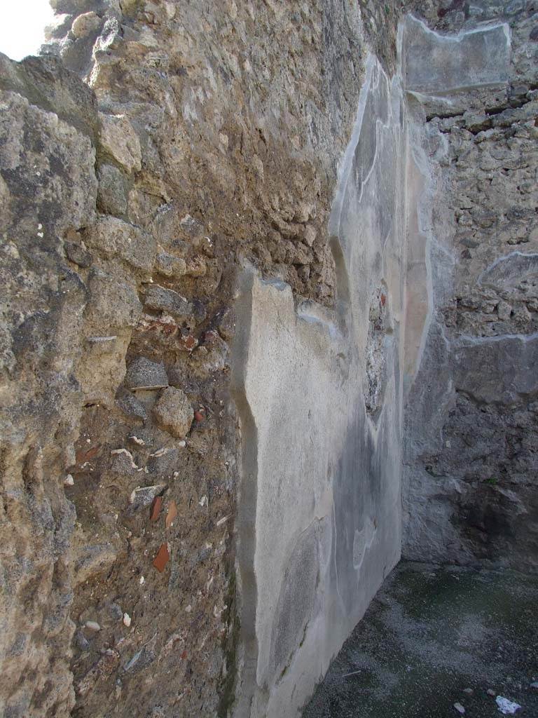 IX.3.2 Pompeii. March 2009. West wall of triclinium on north side of garden area.  