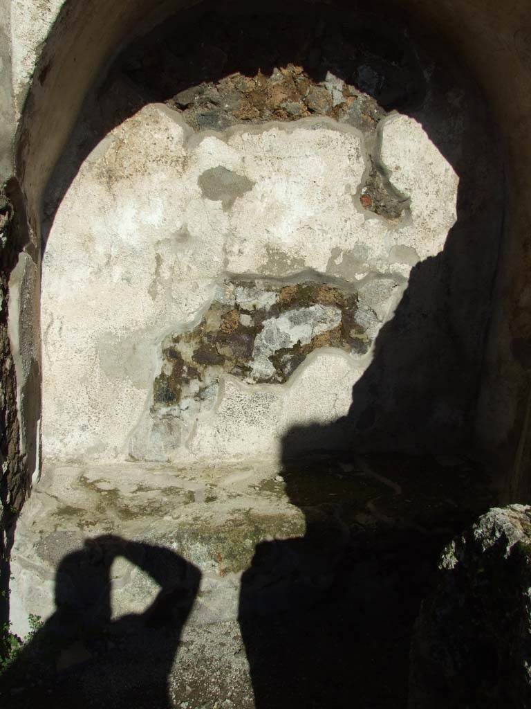 IX.3.2 Pompeii. March 2009. East wall of garden area. Cupboard under staircase.