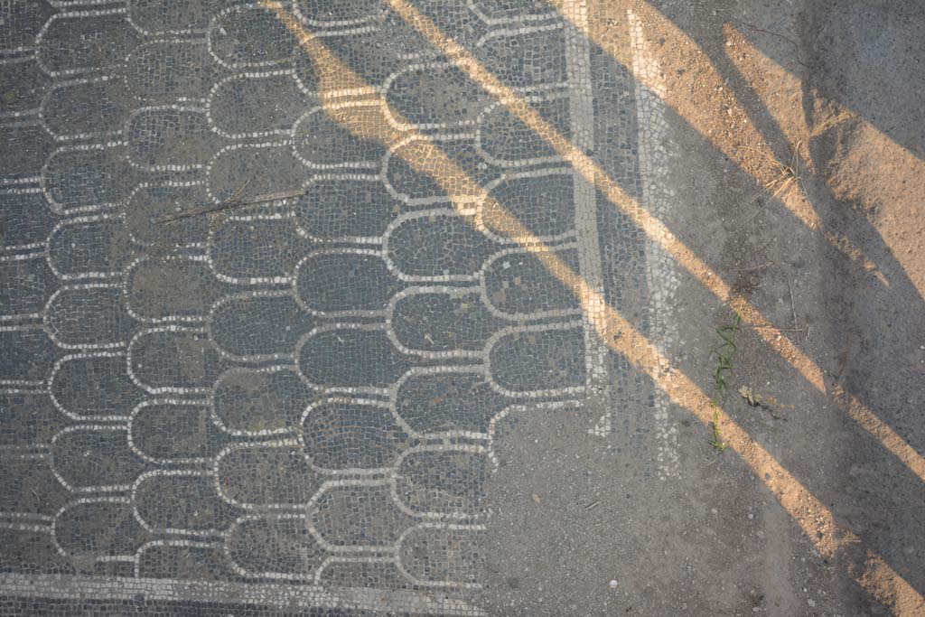IX.3.2 Pompeii. July 2017. Detail of mosaic in entrance corridor at west end near pavement of Via Stabiana.
Foto Annette Haug, ERC Grant 681269 DÉCOR.
