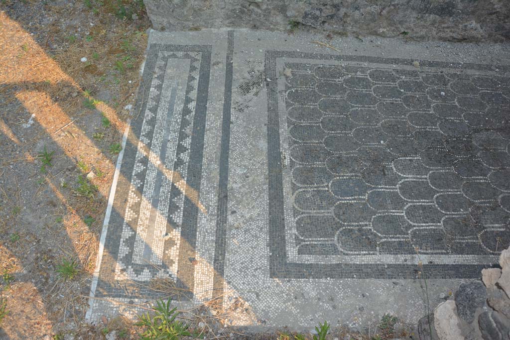 IX.3.2 Pompeii. July 2017. Doorway threshold from entrance corridor to atrium, on left.
Foto Annette Haug, ERC Grant 681269 DÉCOR.

