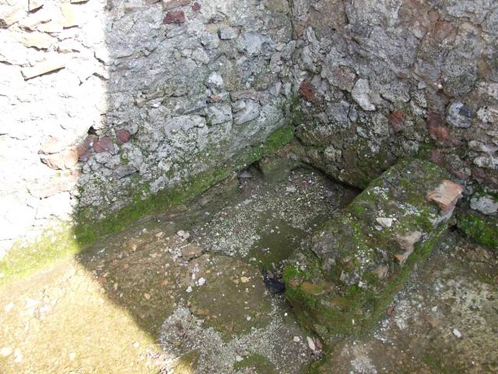 IX.3.5 Pompeii. March 2009. Room 23, latrine.

