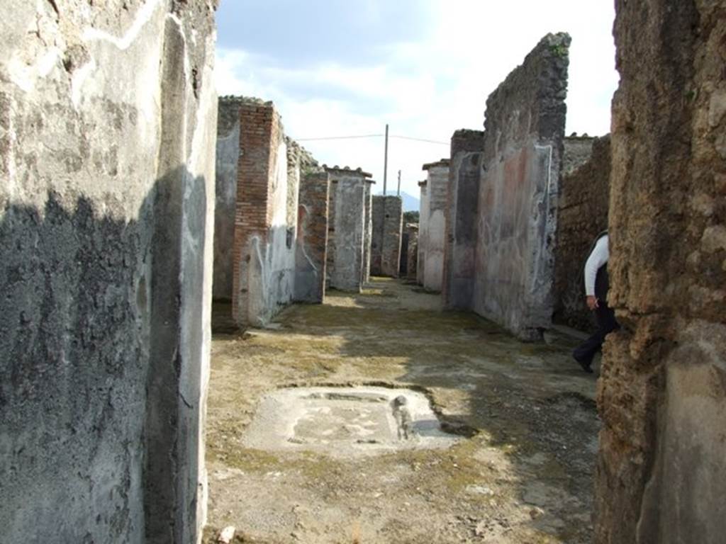 IX.3.5 Pompeii.  March 2009.  Looking south from fauces, across secondary atrium, to rear of IX.3.5.
 
