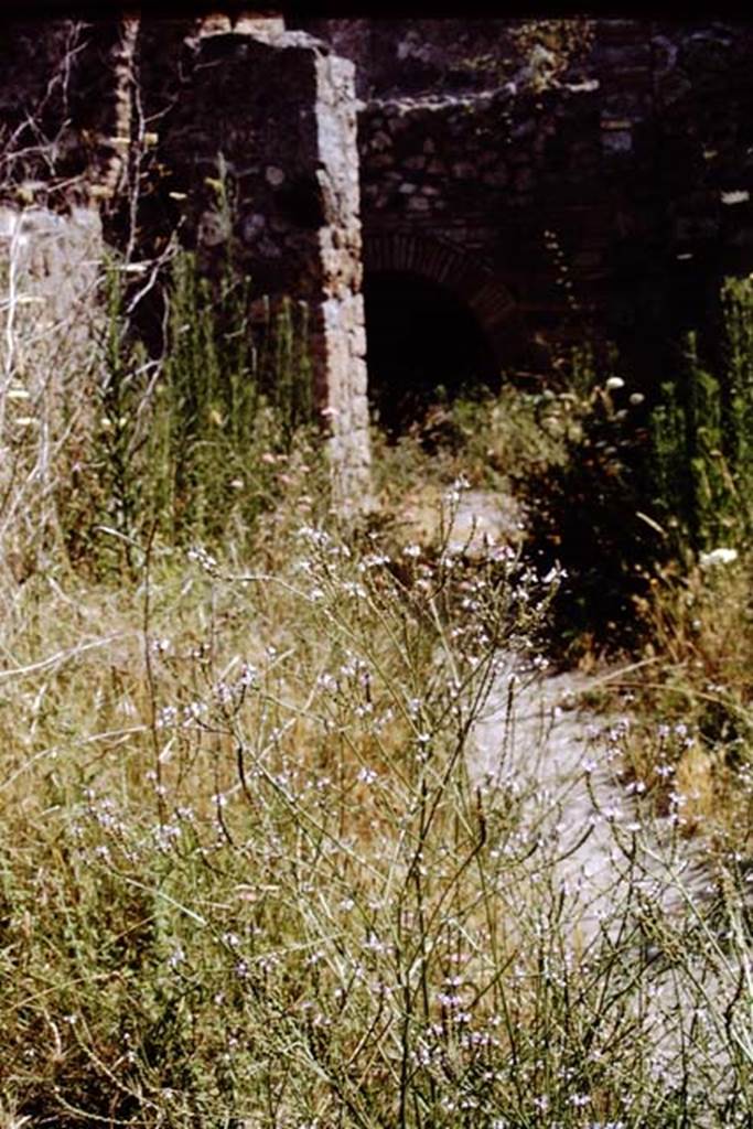 IX.3.12 Pompeii. 1968. Looking east towards large rectangular pilaster and oven. Photo by Stanley A. Jashemski.
Source: The Wilhelmina and Stanley A. Jashemski archive in the University of Maryland Library, Special Collections (See collection page) and made available under the Creative Commons Attribution-Non Commercial License v.4. See Licence and use details.
J68f0570
