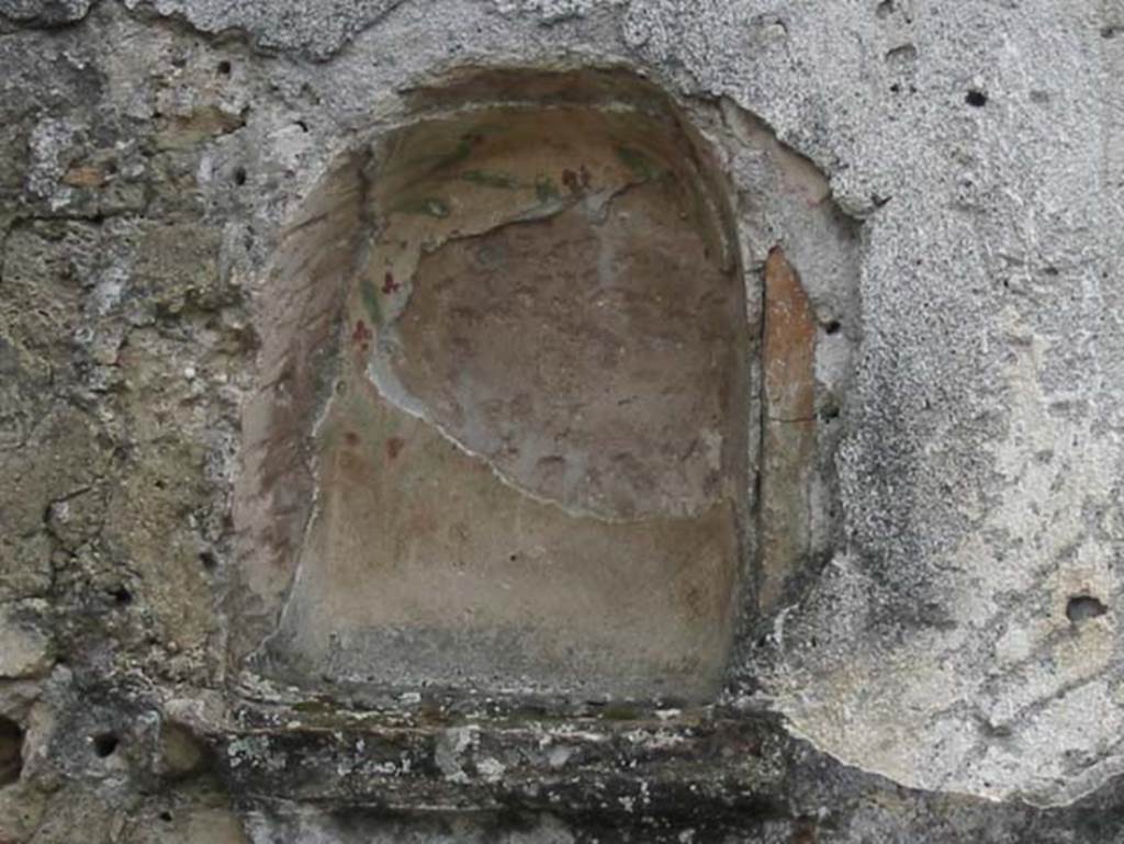 IX.3.12 Pompeii. May 2003. Niche on south wall with details of painted green and brown leaves and red flowers. Photo courtesy of Nicolas Monteix.