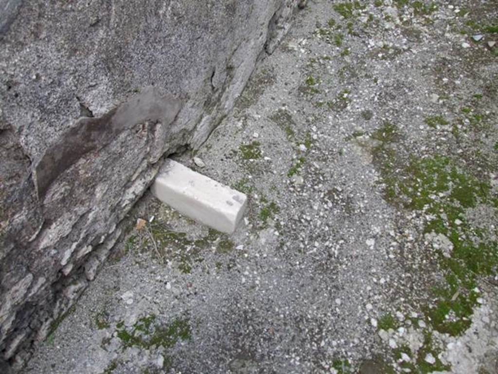 IX.3.15 Pompeii.  March 2009.  Room 1.  White marble  in corridor floor