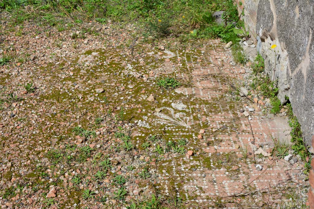 IX.5.2 Pompeii. March 2017. Room �k�, looking north along east side.
Foto Christian Beck, ERC Grant 681269 D�COR.
