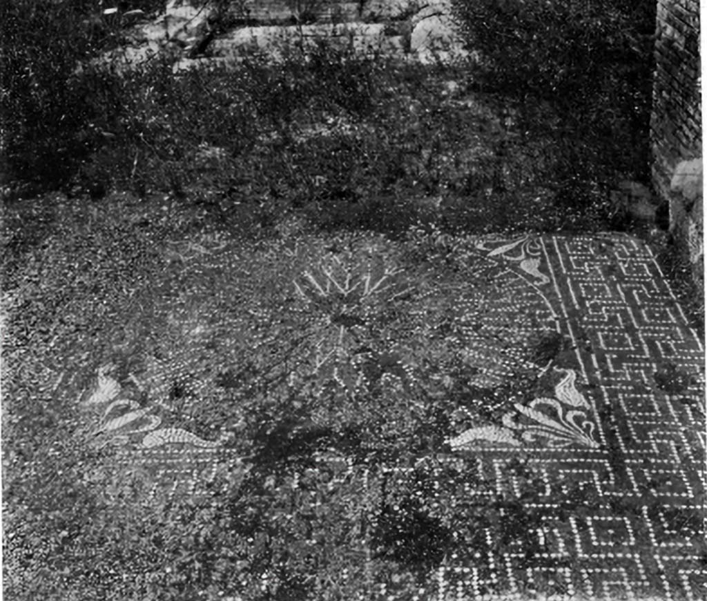 IX.5.2 Pompeii. c.1930. Looking north across central emblema in tablinum.
According to Blake �
Similar (to VII.6.28) is the pavement of the tablinum of IX.V.2, both in the grade of cement and in the pattern.
To the floral design at each corner dolphins are added, and, instead of reticulate, the imbrication pattern decorates the threshold. 
Since a type of brick wall not known at Pompeii until the early Empire rests upon the cement, this pavement is relatively early.
See Blake, M., (1930). The pavements of the Roman Buildings of the Republic and Early Empire. Rome, MAAR, 8, (p.26, Pl.3, tav.1).
